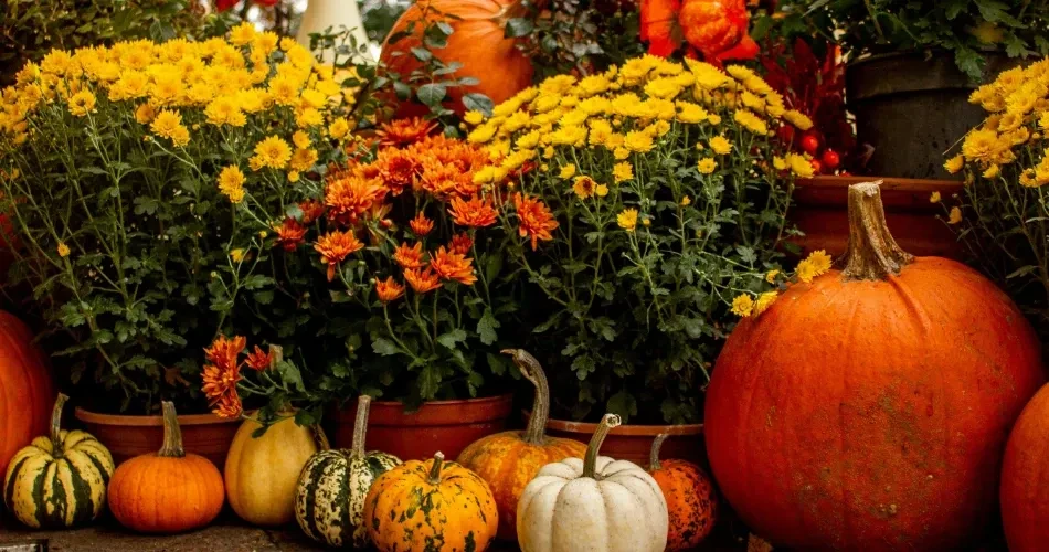 Best Upcoming Events in Bakersfield: Festivals, Concerts & Local Events
